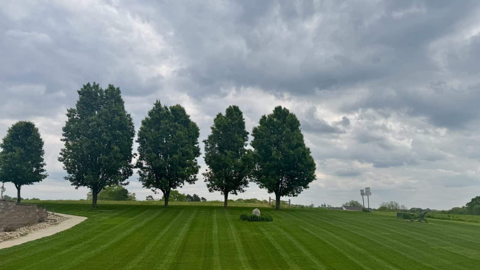 Large residential lawn with precision mowing stripes and mature shade trees in Albemarle NC maintained by Morrow Ridge Landscaping