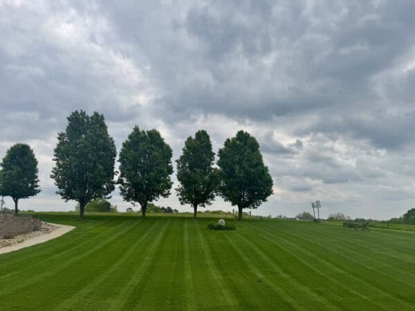 Large residential lawn with precision mowing stripes and mature shade trees in Albemarle NC maintained by Morrow Ridge Landscaping