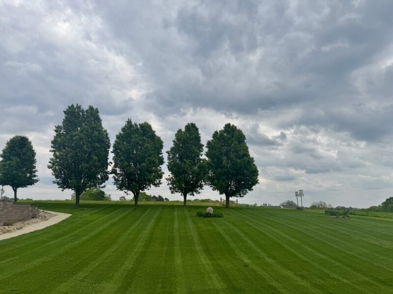 Large residential lawn with precision mowing stripes and mature shade trees in Albemarle NC maintained by Morrow Ridge Landscaping