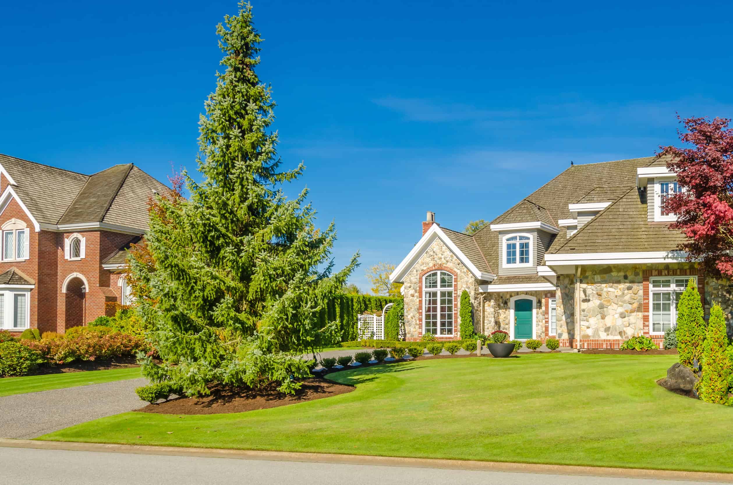 We Handle the Details So Your Property Looks Finished.