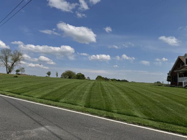 Wide residential lawn with professional mowing stripes along a rural road in Albemarle NC by Morrow Ridge Landscaping