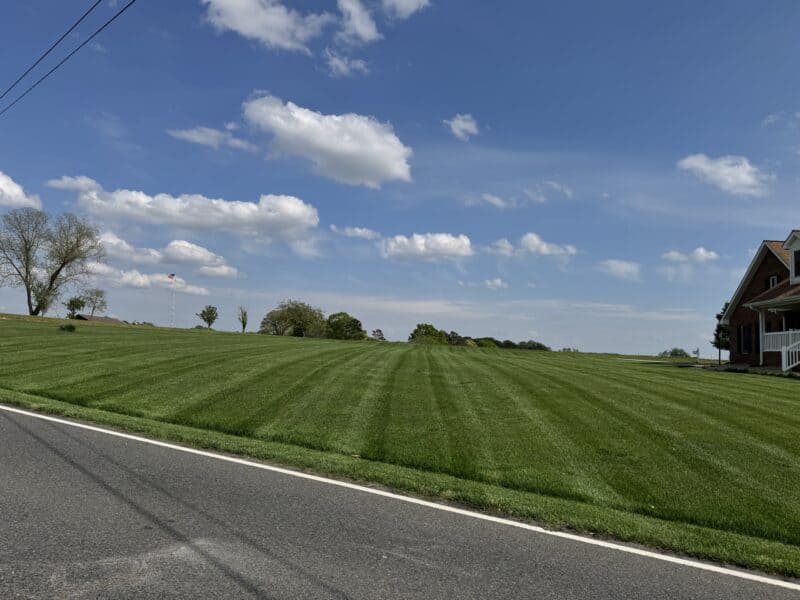 Wide residential lawn with professional mowing stripes along a rural road in Albemarle NC by Morrow Ridge Landscaping