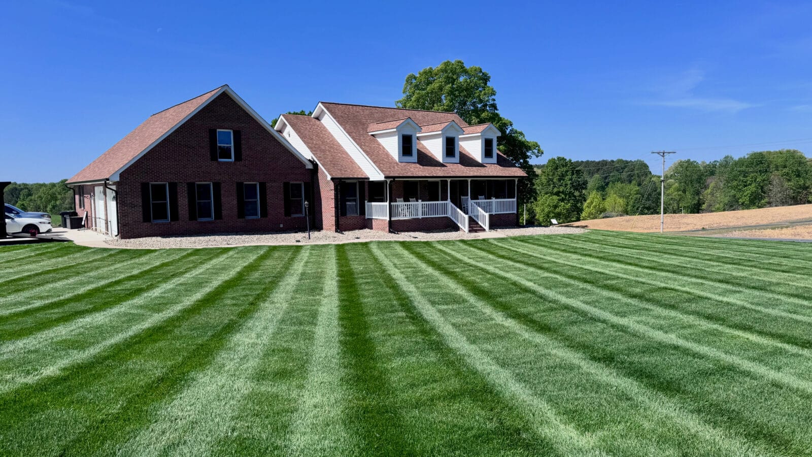 Healthy striped tall fescue lawn at peak season at the Morrow Ridge Landscaping owner's property in the NC Piedmont, before drought stress