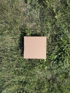 One foot cardboard reference square on thinning turf with broadleaf weed pressure at roughly 50 percent coverage near Albemarle, NC