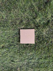 One foot cardboard reference square on a dense tall fescue stand at roughly 80 percent coverage in Stanly County, NC